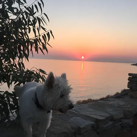 Sunset With Swimming Pool At Tzia Ligia (Kea)